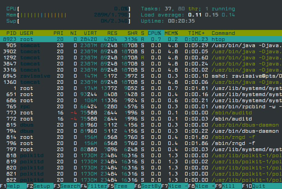 htop Interactive Process Viewer