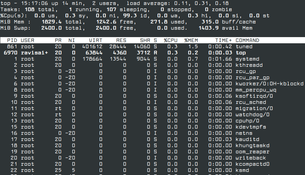 View Linux Running Processes