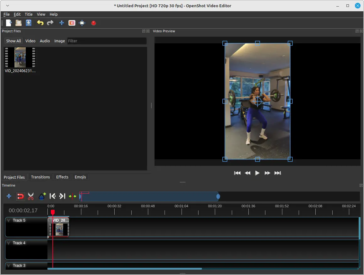 OpenShot Video Editing